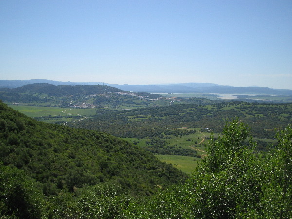 image11