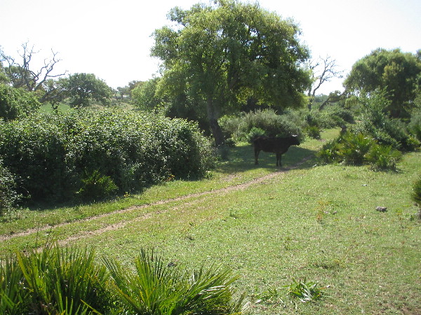 image112