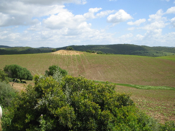 image113
