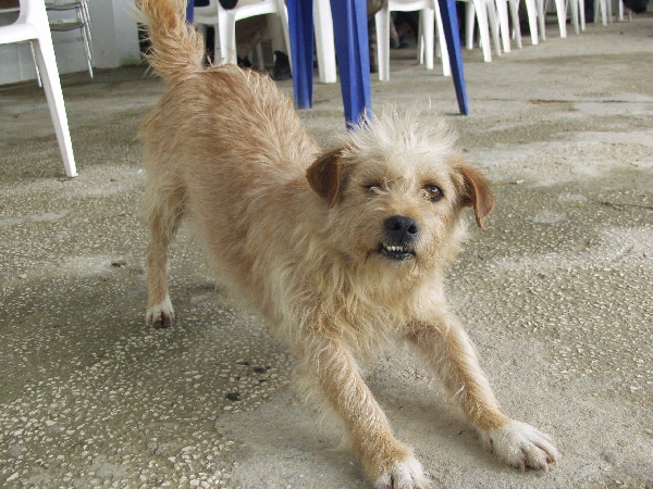 image167