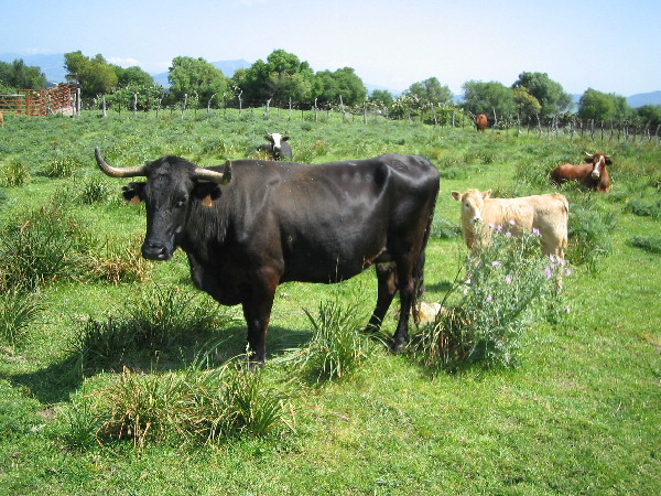 image20