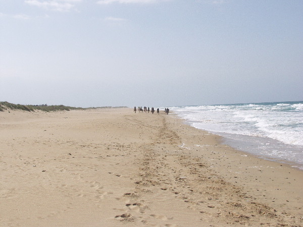 image72