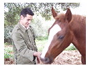 thumbnail163